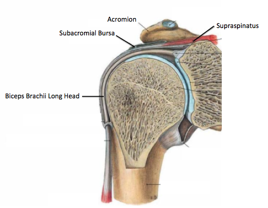 shoulder impingement diagnosis