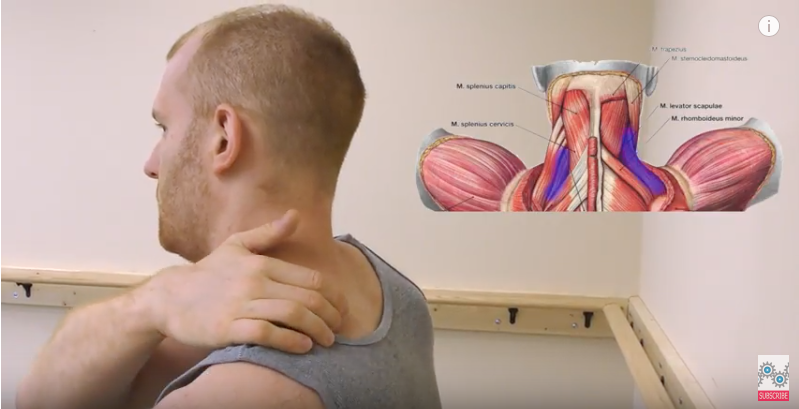 Neck Pain and Levator Scapulae Syndrome